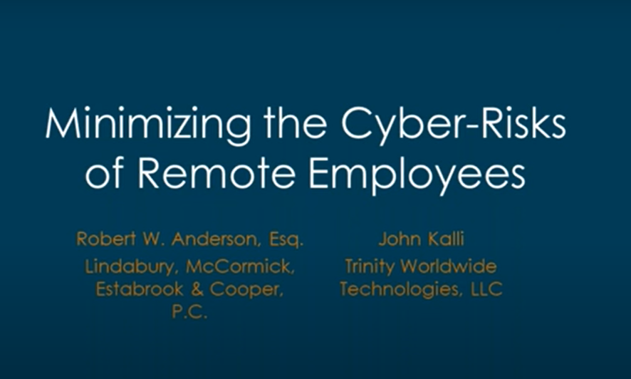 Minimizing the Cyber-Risks of Remote Employees – Presentation